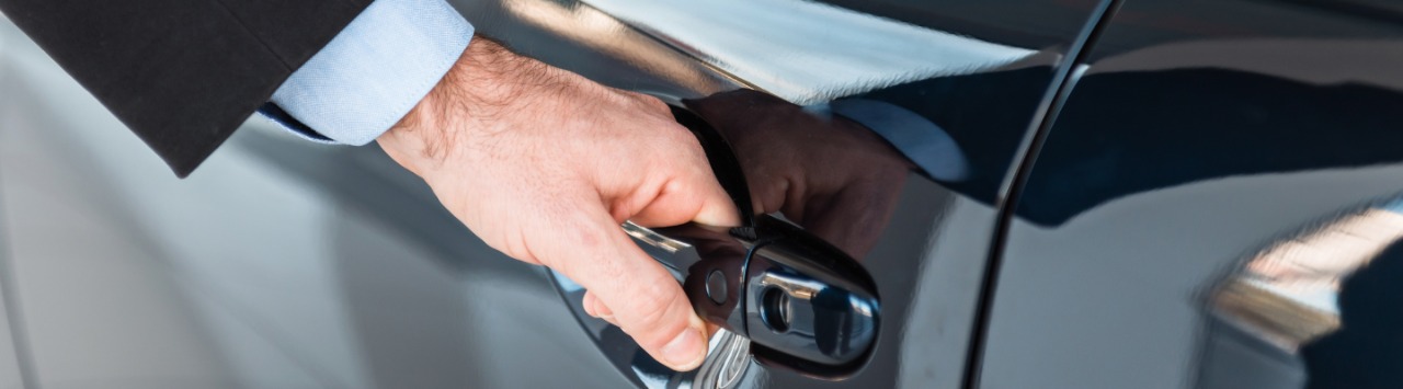 Viaja con Viajes Dorado